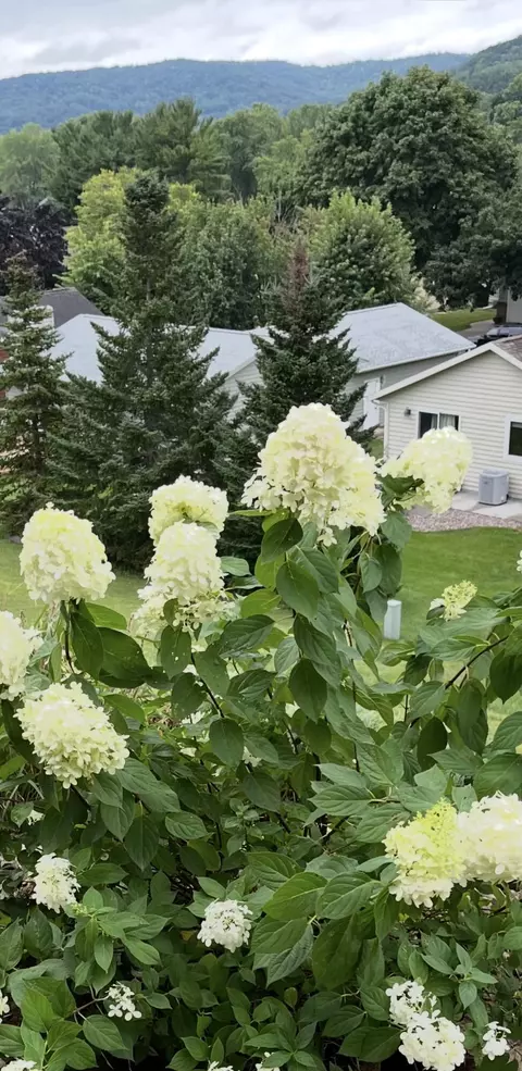 Exterior - 203 Eagles Blf, La Crescent, MN 55947 photo 6 of 7