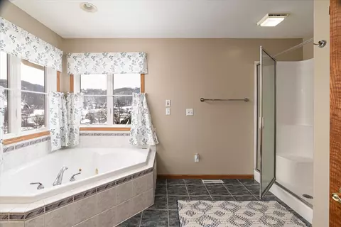 Bath - 203 Eagles Blf, La Crescent, MN 55947 photo 3 of 5