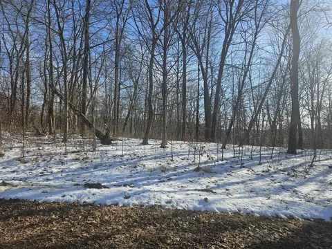 9450 Deepwoods #LT 53, Bagley, WI 53801