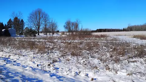 Lt3 Carstens Lake, Newton, WI 54220