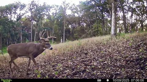 W27022 Whistlers Pass, Dodge, WI 54625