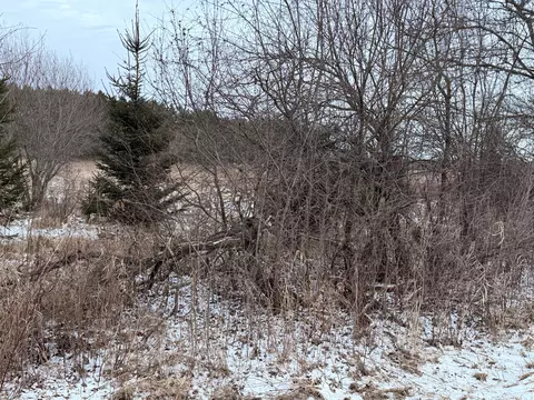 970 Mill Pond, Dousman, WI 53118