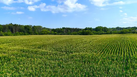 Lt2 3 Mile, Caledonia, WI 53406