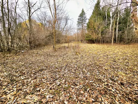 Lts 6-9 Arbutus, Sugar Creek, WI 53121