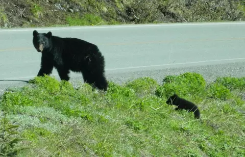 Lt 4 Parkway, Stephenson, WI 54114