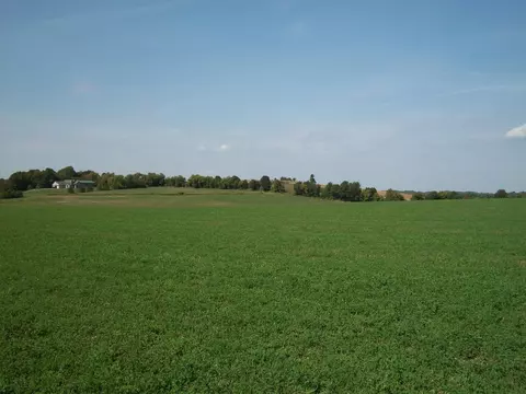 Lt1 Wilson, Wayne, WI 53002