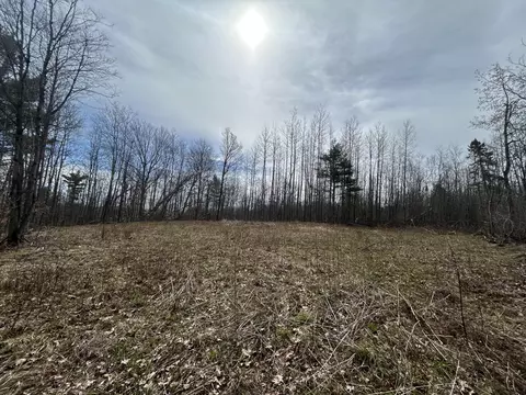 16003 Cedar Lk, Doty, WI 54149
