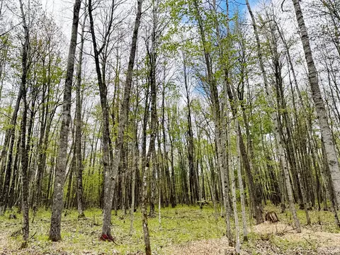 Lt4 Carrie, Beaver, WI 54114