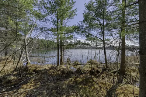 8811 Virgin Lk, Woodboro, WI 54487