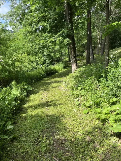 Other - 15315 County Rd 25, Mount Vernon, MN 55969 photo 19 of 21