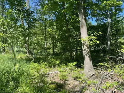 Cty Shawano Line, Green Valley, WI 54124