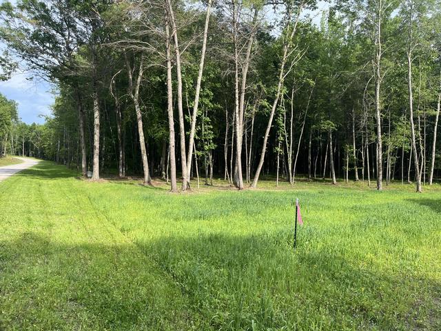 Lt4 Carrie, Beaver, WI 54114