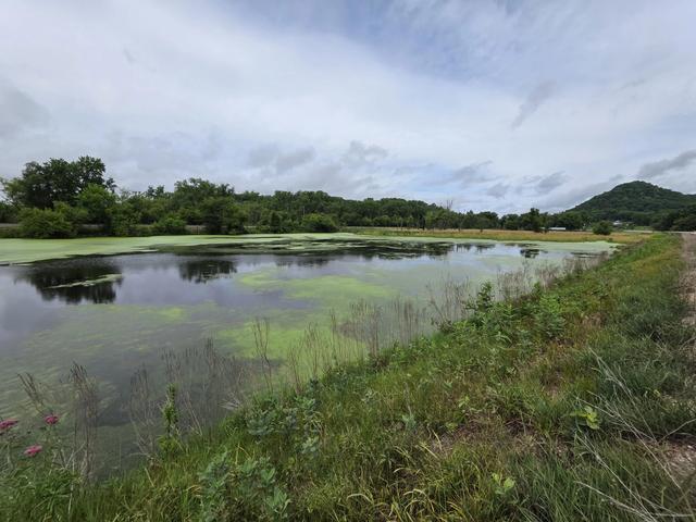 lot0 State Highway 35, Ferryville, WI 54627