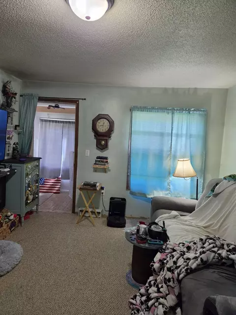 Other - 304 E Park, Luck, WI 54853 photo 5 of 7