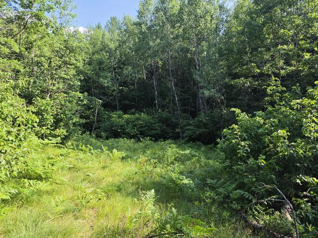 Lt1 Oak Ridge #4.62 ACRES, Amberg, WI 54102