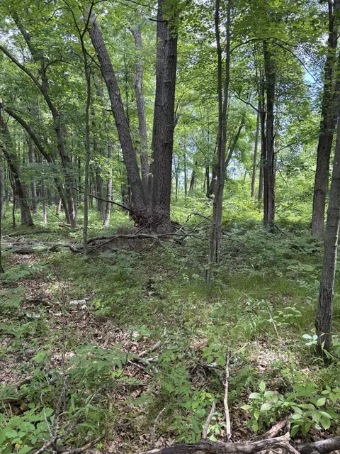 0 Grapevine, Tomah, WI 54660 photo 9