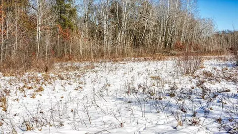 0 Grapevine, Tomah, WI 54660 photo 28