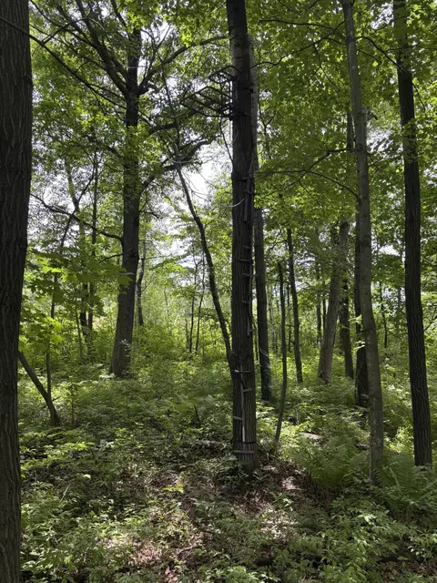 0 Grapevine, Tomah, WI 54660 photo 6