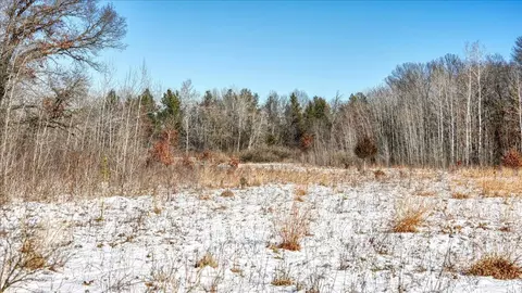 0 Grapevine, Tomah, WI 54660 photo 29