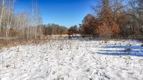 0 Grapevine, Tomah, WI 54660 photo 18