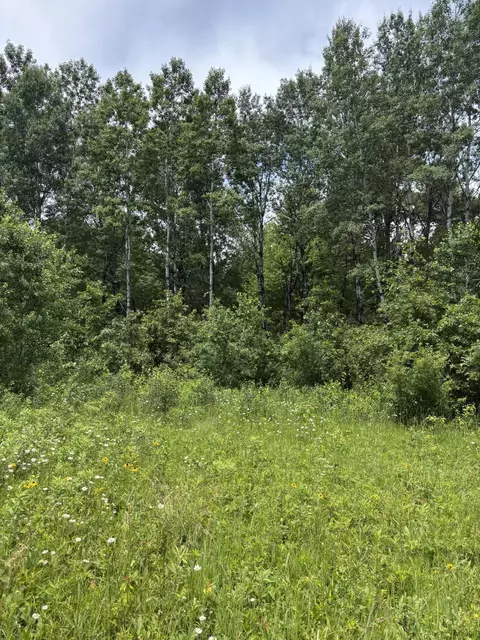 0 Grapevine, Tomah, WI 54660 photo 4