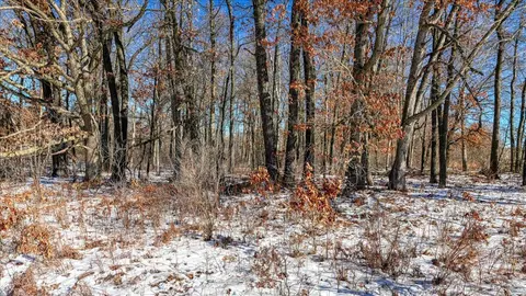 0 Grapevine, Tomah, WI 54660 photo 30