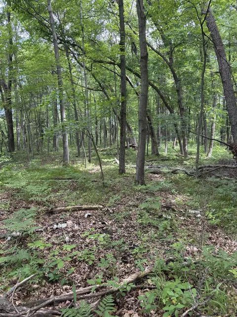 0 Grapevine, Tomah, WI 54660 photo 12