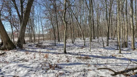 0 Grapevine, Tomah, WI 54660 photo 36