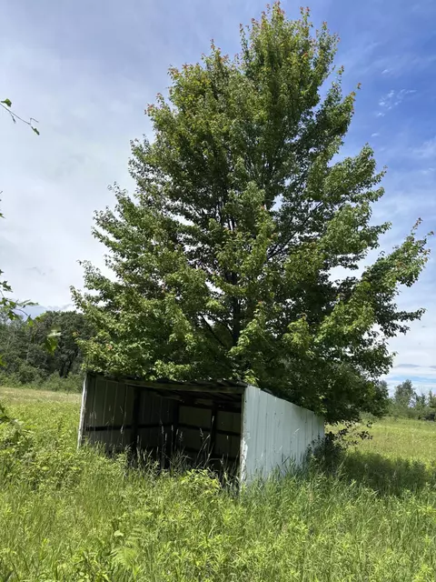 0 Grapevine, Tomah, WI 54660 photo 5
