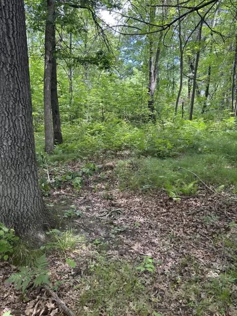 0 Grapevine, Tomah, WI 54660 photo 7
