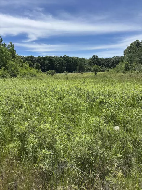 0 Grapevine, Tomah, WI 54660