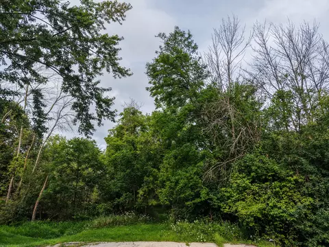 Lt1 Betterway, Mayville, WI 53050