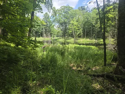 Lt0 County Road J, Upham, WI 54424