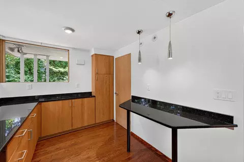 Kitchen - 715 E Juniper, Fox Point, WI 53217 photo 6 of 6