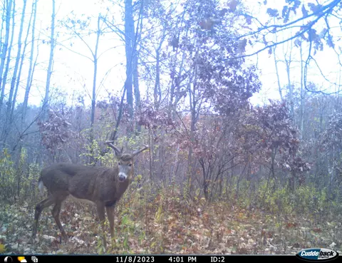 0 County Rd Dd, Gale, WI 54627 photo 14