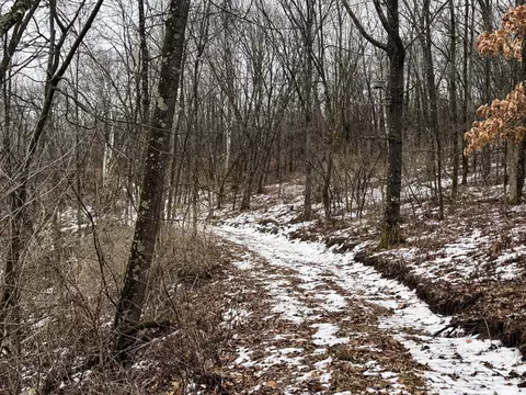 0 County Rd Dd, Gale, WI 54627 photo 70