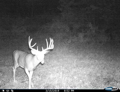 0 County Rd Dd, Gale, WI 54627 photo 28