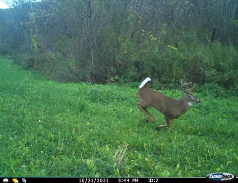 0 County Rd Dd, Gale, WI 54627 photo 26