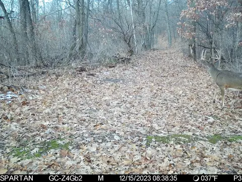 0 County Rd Dd, Gale, WI 54627 photo 5