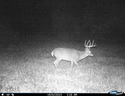 0 County Rd Dd, Gale, WI 54627 photo 22