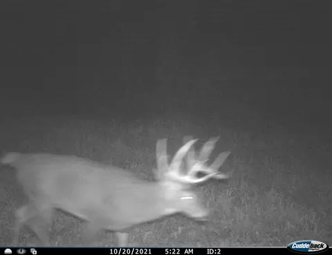 0 County Rd Dd, Gale, WI 54627 photo 18