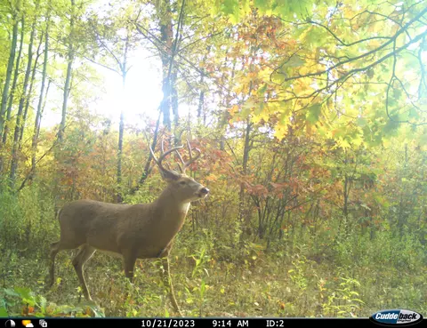 0 County Rd Dd, Gale, WI 54627 photo 90