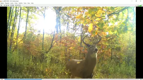 0 County Rd Dd, Gale, WI 54627 photo 30