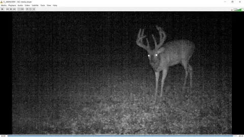 0 County Rd Dd, Gale, WI 54627 photo 3