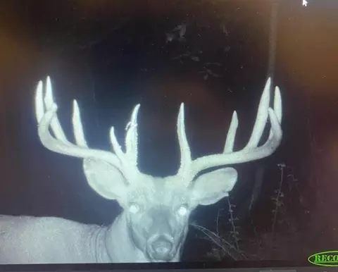 W8978 Preuss, Wonewoc, WI 53929 photo 4