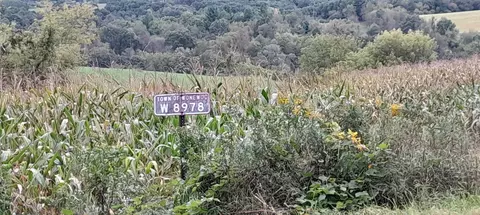 W8978 Preuss, Wonewoc, WI 53929