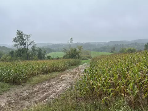 W8978 Preuss, Wonewoc, WI 53929 photo 2