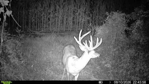 n4016 Wisconsin 54, Irving, WI 54615