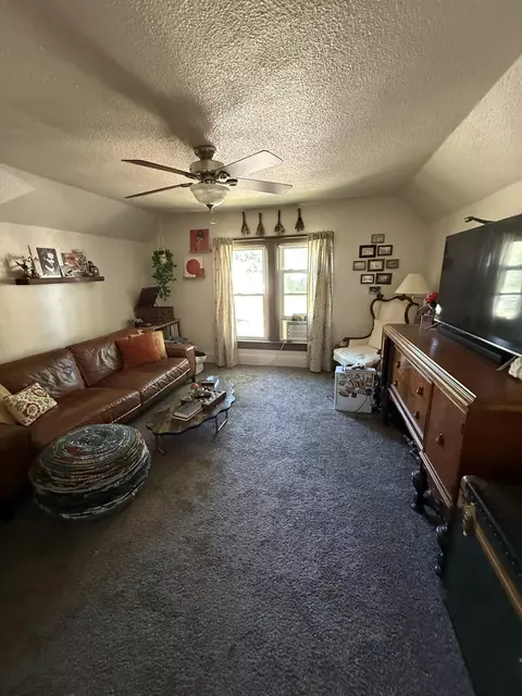 Living - 319 E Main #A&B, Eagle, WI 53119 photo 4 of 4