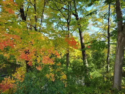 Other - N3054 Circle, Lyndon, WI 53011 photo 2 of 10